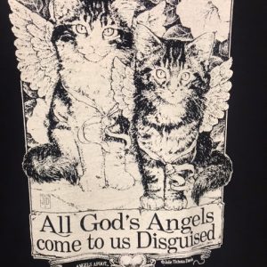 All Gods Angels Come to us Disguised